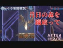 【AFTERIMAGE】第22回　昔日の森を蹴破って　じっくり攻略実況　アフターイメージ