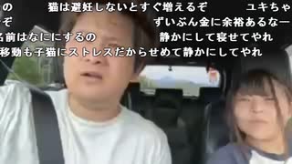 【勇者トロ】捨て猫保護した。2023年5月6日