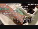 【勇者トロ】ネコ。2023年5月6日