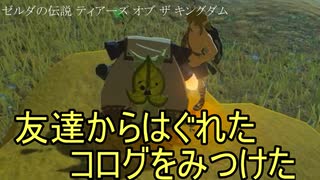 はぐれたコログが友達のところに行きたがっていたので連れて行こうとした　ゼルダの伝説　ティアーズ オブ ザ キングダム