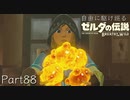 【プレイ動画】自由に駆け巡るゼルダの伝説ブレスオブザワイルド Part88