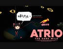 [Atrio The Dark Wild]闇の工場づくり9