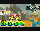 【ゼルダの伝説TOTK 】初見のボスもサクッと倒す！【ティアキン】#05