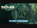 【ゼルダの伝説】穴に落ちて地底を探索  Part 11【ティアーズ オブ ザ キングダム(ネタばれあり)】