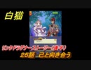 白猫　リンクドラグナーストーリー（後半）　２５話　己と向き合う　９周年EP２　ガチャキャラ　エクセリア（ドラグナー）ゲオルグ（ドラグナー）エクセリア（鎖剣）　＃５４　【白猫プロジェクト】