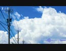 【NNIオリジナル】夏日影