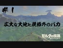 #1 今更始めるほぼ初見のブレスオブザワイルド【ゼルダの伝説 BotW】