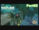 【05】ぼっち勇者の天空探検【ゼルダの伝説ティアーズオブザキングダム】