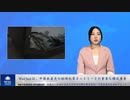 WeChatは、中国共産党の組織犯罪ネットワークの重要な構成要素
