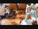 ゾンビーナちゃんの家庭料理　赤魚の焼き　カレーコロッケ【飯テロ】