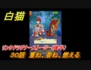 白猫　リンクドラグナーストーリー（後半）　３０話　重ね、委ね、燃える　９周年EP２　ガチャキャラ　エクセリア（ドラグナー）ゲオルグ（ドラグナー）エクセリア（鎖剣）　＃６４　【白猫プロジェクト】