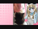 ゾンビーナのハムスターの日常。78