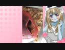 ゾンビーナのハムスターの日常。79