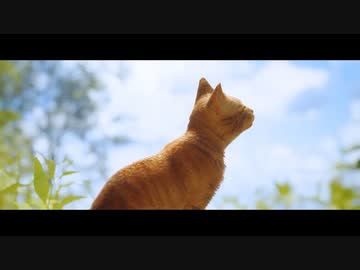 おいニャンニャンニャン！　mp.18【終】