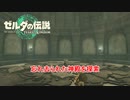 【ゼルダの伝説】忘れ去られた神殿を探索  Part 14【ティアーズ オブ ザ キングダム(ネタばれあり)】