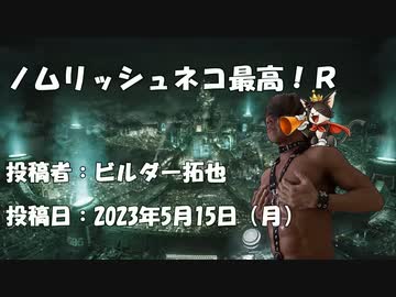 ノムリッシュネコ最高！Ｒ　投稿者：ビルダー拓也