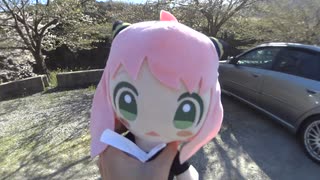ちょっと花見行ってくる2023 PT275