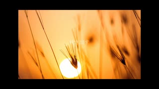 吐き出す/こちぇ