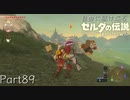 【プレイ動画】自由に駆け巡るゼルダの伝説ブレスオブザワイルド Part89