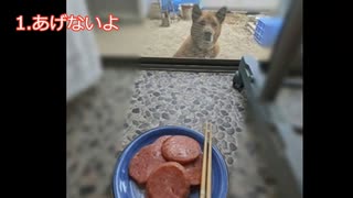 ケンモメシまとめ2ch民の爆笑貧乏ご飯 part 24