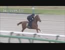 【2023 JRAブリーズアップセール】 騎乗供覧 第2クルー