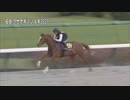 【2023 JRAブリーズアップセール】 騎乗供覧 第6クルー