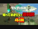 知っていると便利な小技4選【ゼルダの伝説ティアーズオブキングダム】