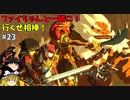 【ゆっくり実況】初めてのブレワイ無双！part23【ゼルダ無双】