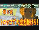 【始まりの空島⑤】ゼルダの伝説 ティアーズオブザキングダム こつこつ実況 第6夜