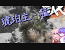 【WildHearts】わいるどまーくつー11