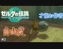 2つ目の能力が前作の8倍面白い(天才) #2前半【ゼルダの伝説 ティアーズオブザキングダム】ティアキン