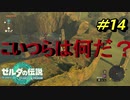 手だけの敵が怖い【TEARS OF THE KINGDOM】＃14