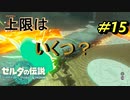 最大何個までくっつくの？【TEARS OF THE KINGDOM】＃15