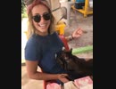ホモと見る右乳と左乳を交互に押す猫