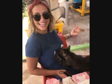 ホモと見る右乳と左乳を交互に押す猫