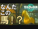【黄金】金ピカ馬がやばい　Part 5【ゼルダの伝説ティアーズオブザキングダム】