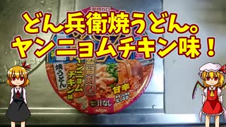 【ルーミアの飯＆玩具】どん兵衛焼うどんと、ファイヤーボール