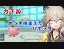 サザエさんとのじゃんけんに勝つ度ポケモンを1匹捕獲【ポケモンSV】#2