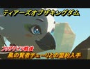 ゼルダの伝説ティアーズオブザキングダム　風の賢者チューリとの盟約入手　フリザゲイラ戦後　リトの村のチューリ　メインチャレンジ攻略　＃１２４　【ティアキン】