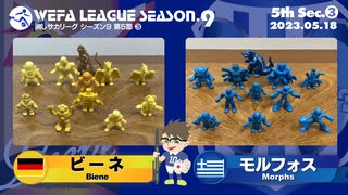 WEFA LEAGUE SEASON.9 第5節 ❸ ビーネ× モルフォス