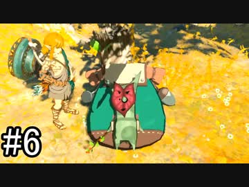 【実況】空の島から始まる新たな冒険【ゼルダの伝説 ティアーズ オブ ザ キングダム】part6