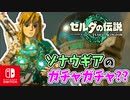【ゼルダの伝説ティアーズオブザキングダム実況】ハイラルに再び異変が？新たな旅にでます！part11