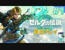 【実況】大空を翔る。ゼルダの伝説ティアーズオブザキングダム 実況プレイ！Part1【ゼルダの伝説TotK】