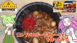 【豊橋めし】トップバリュのカレールーでカレーうどんを作ってみた【ずんだもん実況】