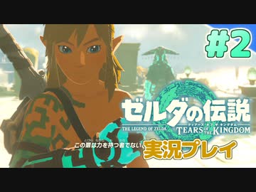 【実況】大空を翔る。ゼルダの伝説ティアーズオブザキングダム 実況プレイ！Part2【ゼルダの伝説TotK】