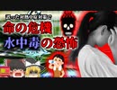 【2019年】突然倒れた女性AD 原因は"水中毒"？ 実は恐ろしい水の飲み方 誤った熱中症対策の危険 【ゆっくり解説】