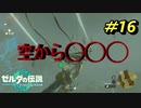 汚ねぇ何かが降ってくる【TEARS OF THE KINGDOM】＃16