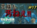 王様、あなたもですか【TEARS OF THE KINGDOM】＃17