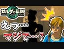 【ゼルダの伝説TOTK】姿が変わりすぎて驚きを隠せない…【ティアキン】#08