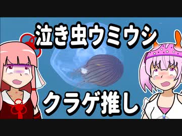 【琴葉姉妹の磯遊び】泣き虫ウミウシクラゲ推し【VOICEROID劇場】